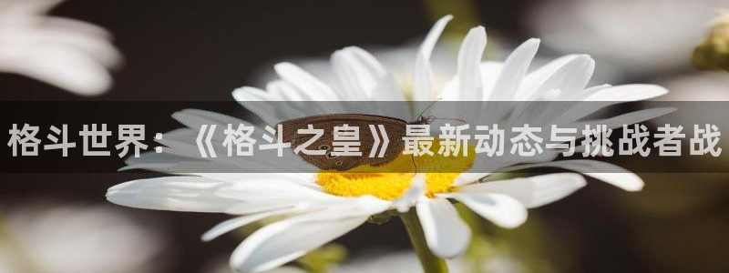 杜邦娱乐4开户：格斗世界：《格斗之皇》最新动态与挑战者战