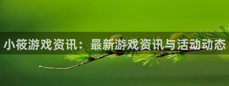 杜邦娱乐平台负责人：小筱游戏资讯：最新游戏资讯与活动动态
