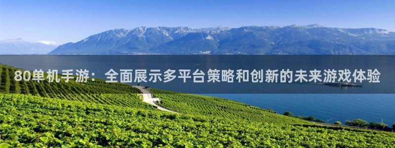 杜邦娱乐登录地址：80单机手游：全面展示多平台策略和创新的未