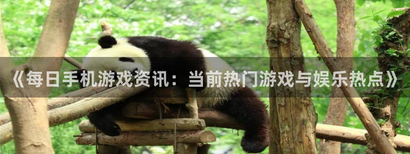 杜邦娱乐网址官网：《每日手机游戏资讯：当前热门游戏与娱乐热点